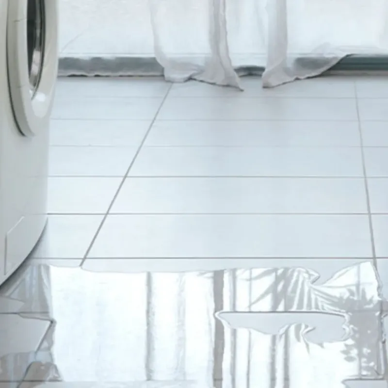 Appliance Leak Cleanup in Williamsburg, OH