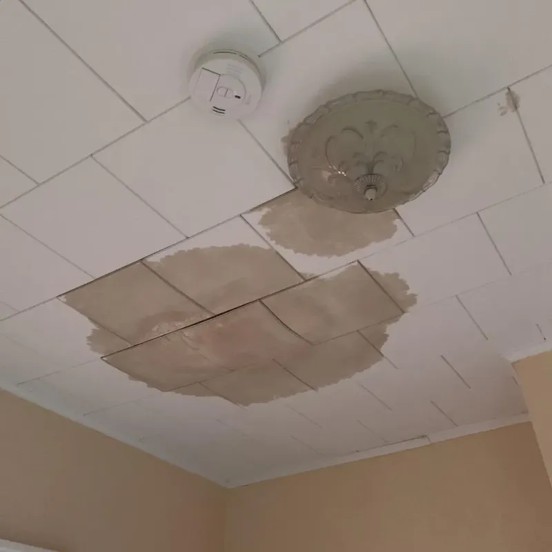 Ceiling Water Damage Repair in Williamsburg, OH