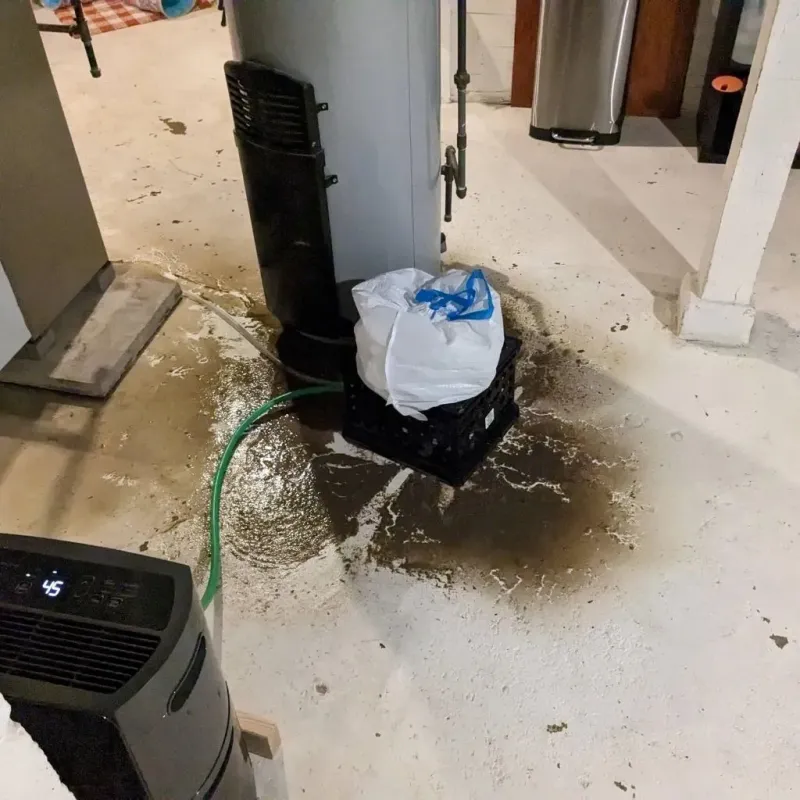 Sewage Backup Cleanup Service in Williamsburg, OH